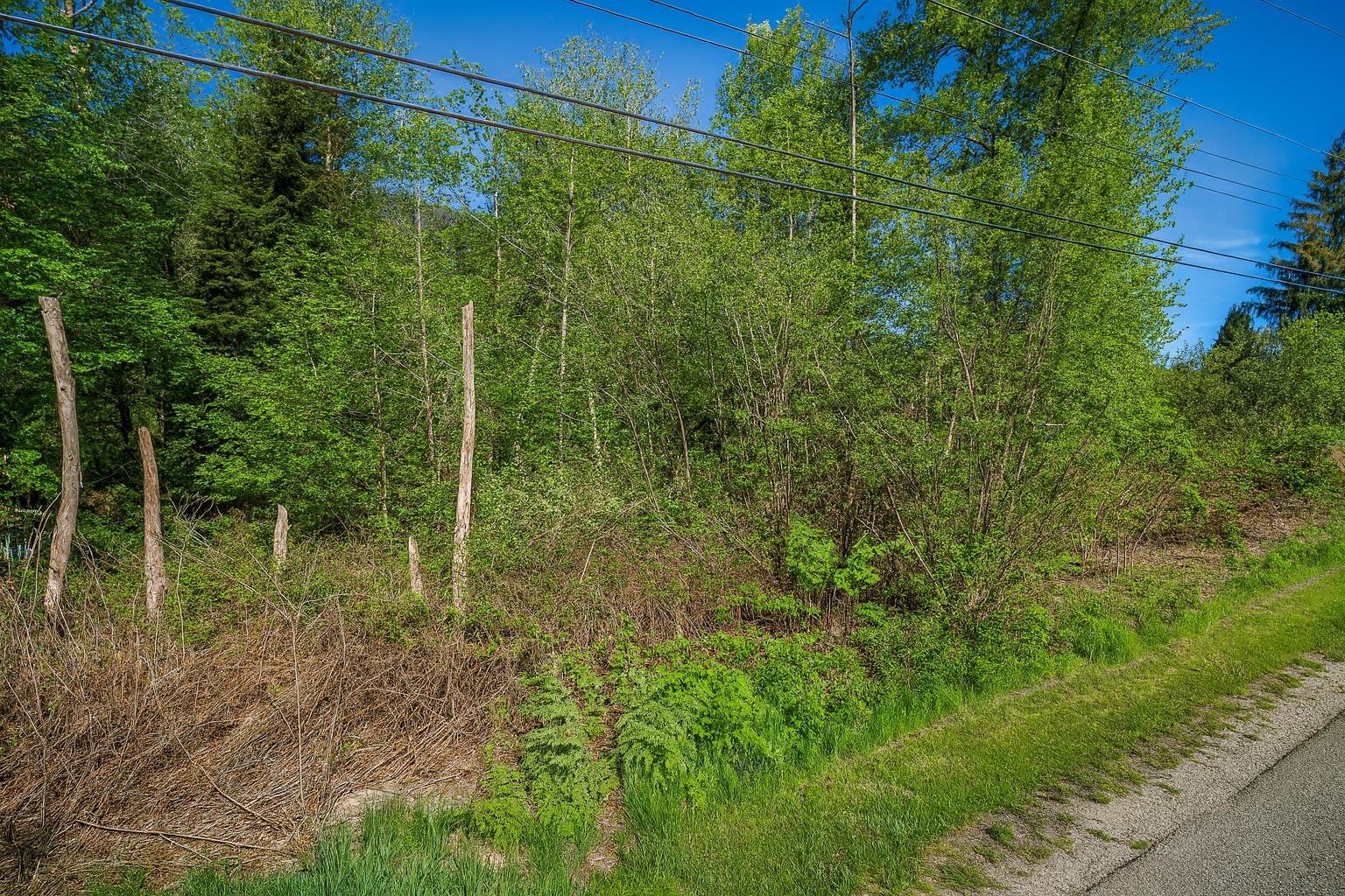 12999 Stave Lake Road, Mission, British Columbia  V2V 0A7 - Photo 5 - R3034886