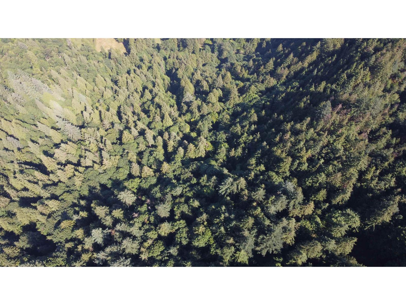 12999 Stave Lake Road, Mission, British Columbia  V2V 0A7 - Photo 14 - R3034886