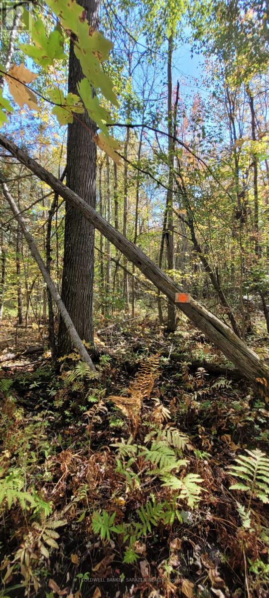Pt/lot 21 Concession 3 Road, Drummond/north Elmsley, Ontario  K7H 3C7 - Photo 8 - X12445489