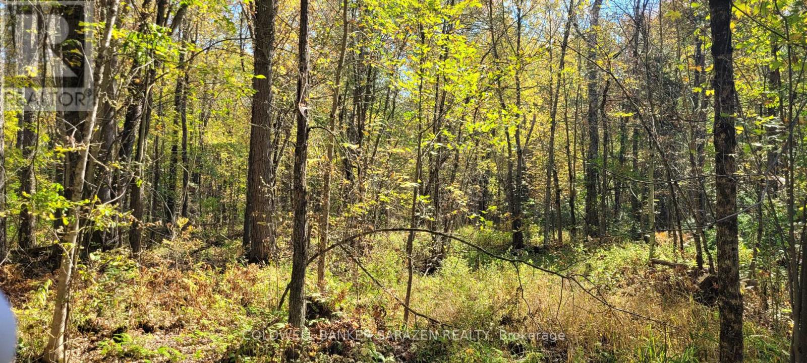 Pt/lot 21 Concession 3 Road, Drummond/north Elmsley, Ontario  K7H 3C7 - Photo 7 - X12445489
