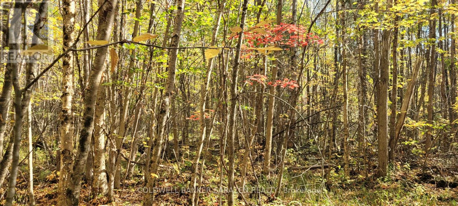 Pt/lot 21 Concession 3 Road, Drummond/north Elmsley, Ontario  K7H 3C7 - Photo 6 - X12445489