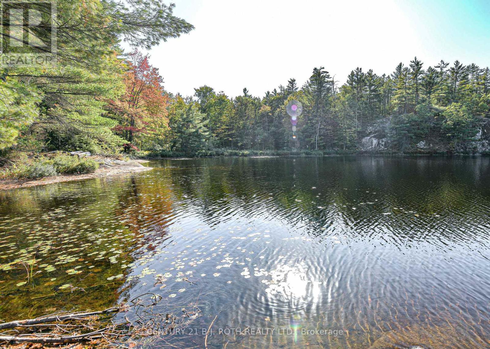 2 - 1112 Sam Cook Road, Gravenhurst, Ontario  P1P 1R3 - Photo 5 - X12445930