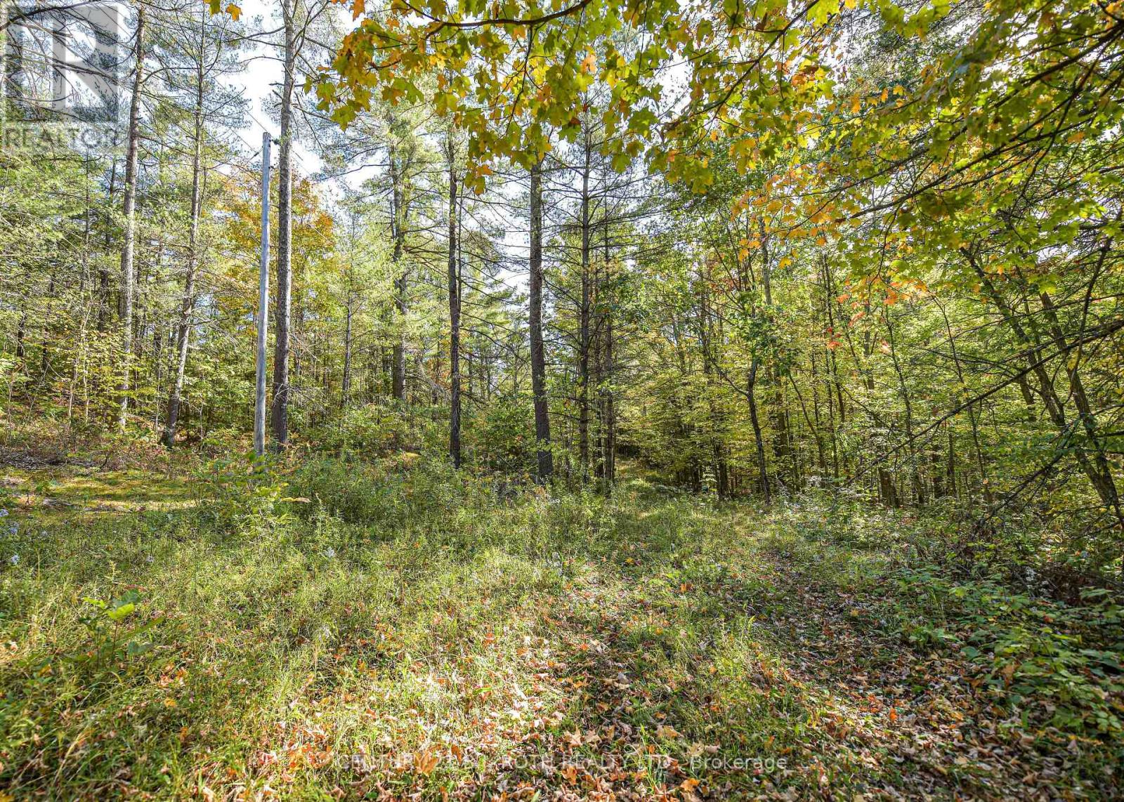 2 - 1112 Sam Cook Road, Gravenhurst, Ontario  P1P 1R3 - Photo 3 - X12445930