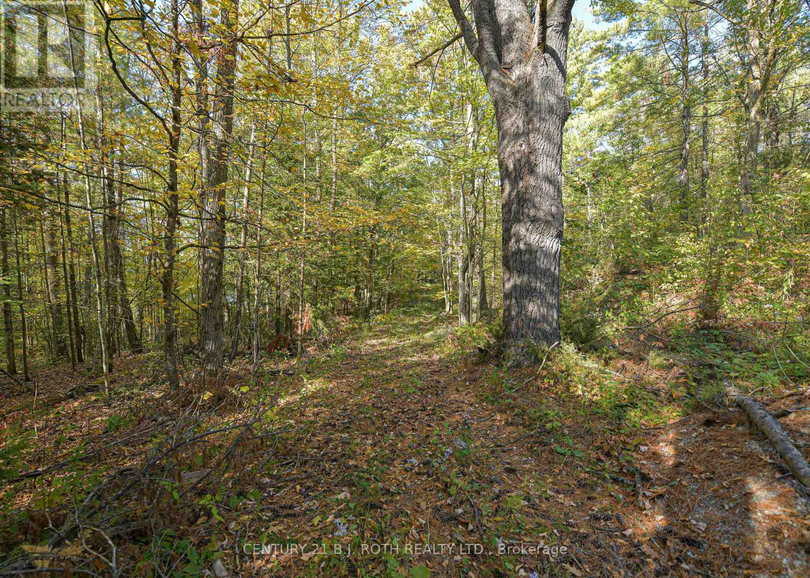2 - 1112 Sam Cook Road, Gravenhurst, Ontario  P1P 1R3 - Photo 9 - X12445930