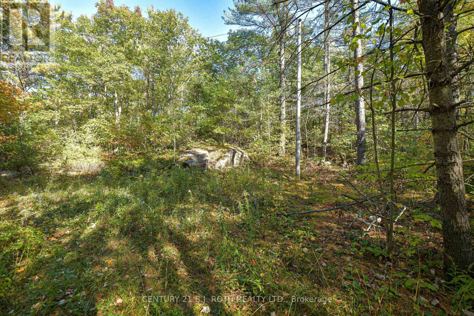 2 - 1112 Sam Cook Road, Gravenhurst, Ontario  P1P 1R3 - Photo 8 - X12445930