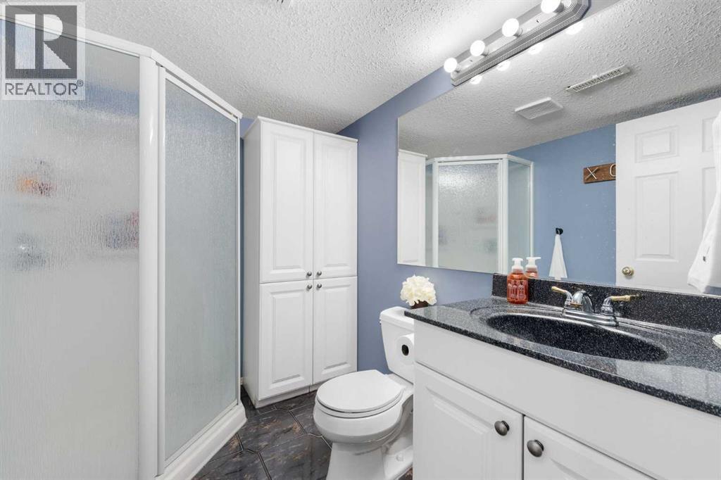 9541 21 Street Se, Calgary, Alberta  T2C 4G1 - Photo 23 - A2261542