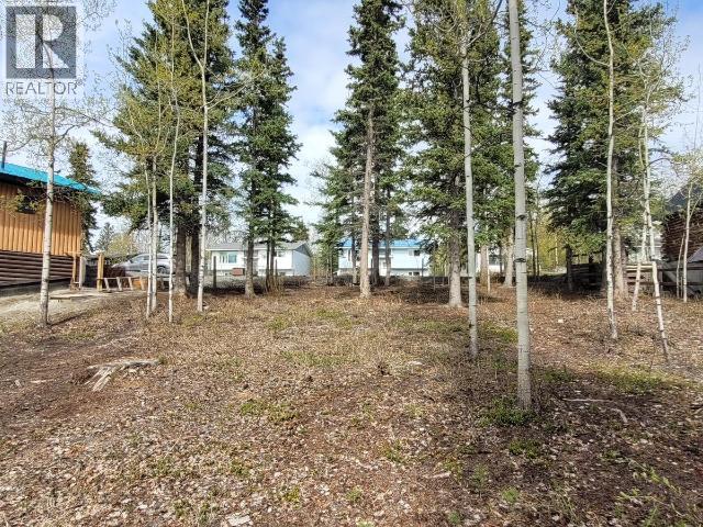 119 Alsek Crescent, Haines Junction, Yukon  Y0B 1L0 - Photo 20 - 16863