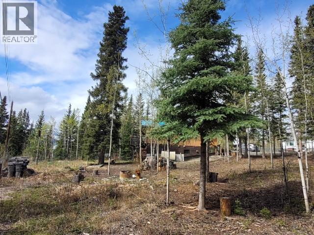 119 Alsek Crescent, Haines Junction, Yukon  Y0B 1L0 - Photo 21 - 16863