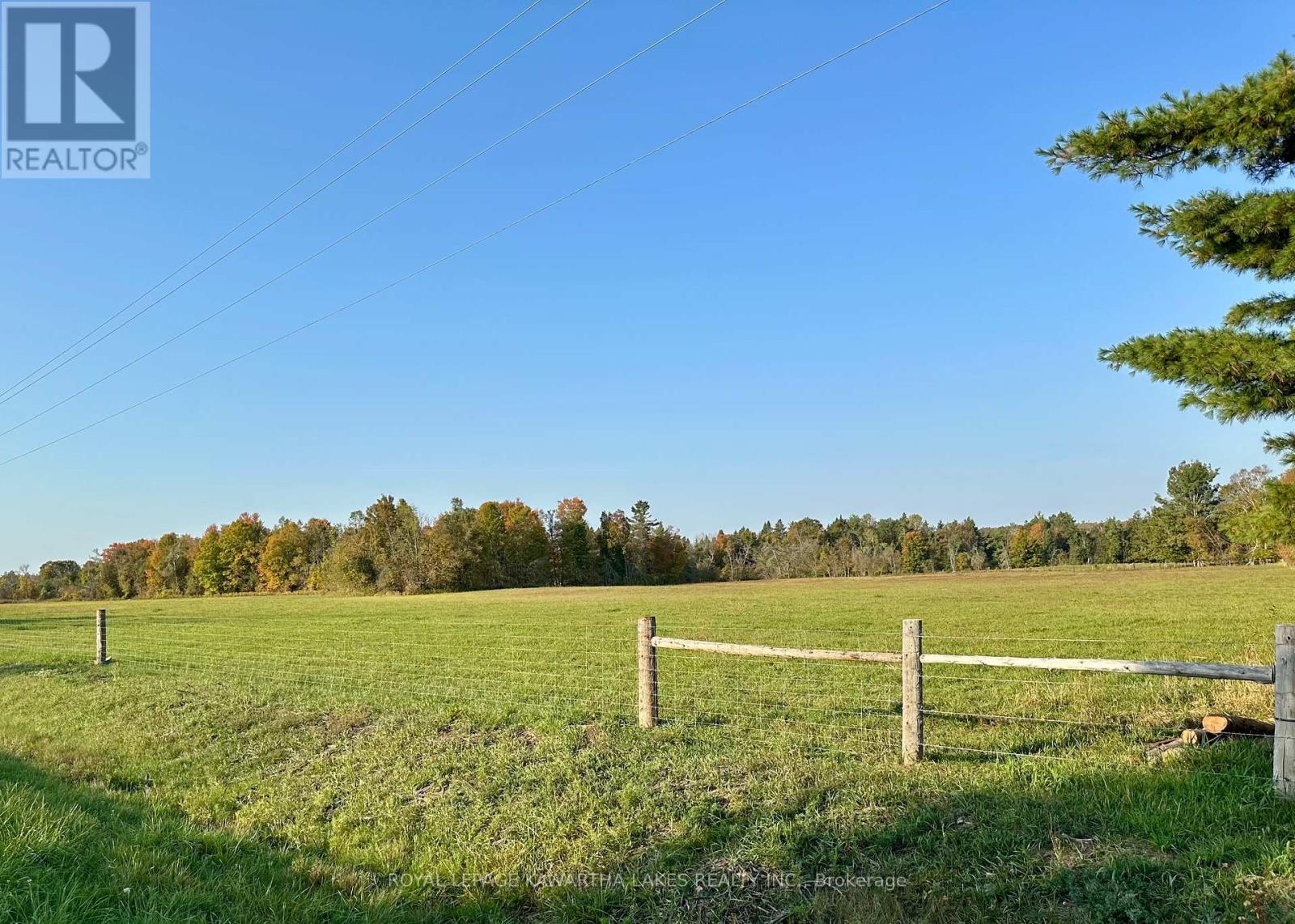2433 County Road 121 Road, Kawartha Lakes, Ontario  K0M 1C0 - Photo 43 - X12436381
