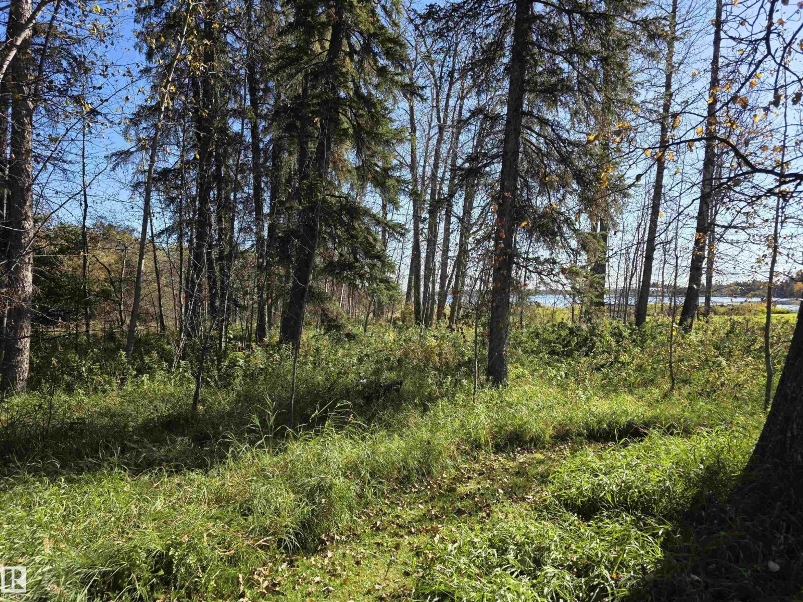 27 62045 Twp Rd 462, Rural Wetaskiwin County, Alberta  T0C 0T0 - Photo 30 - E4460964