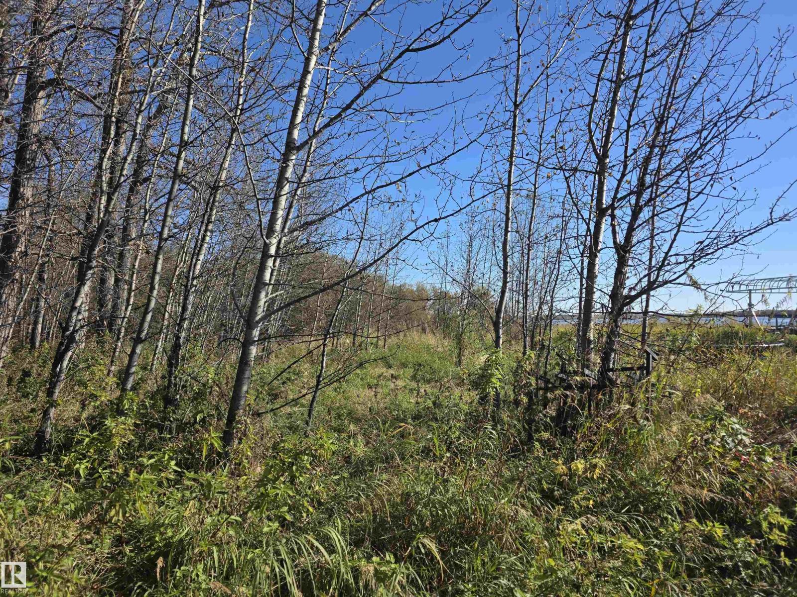 27 62045 Twp Rd 462, Rural Wetaskiwin County, Alberta  T0C 0T0 - Photo 31 - E4460964
