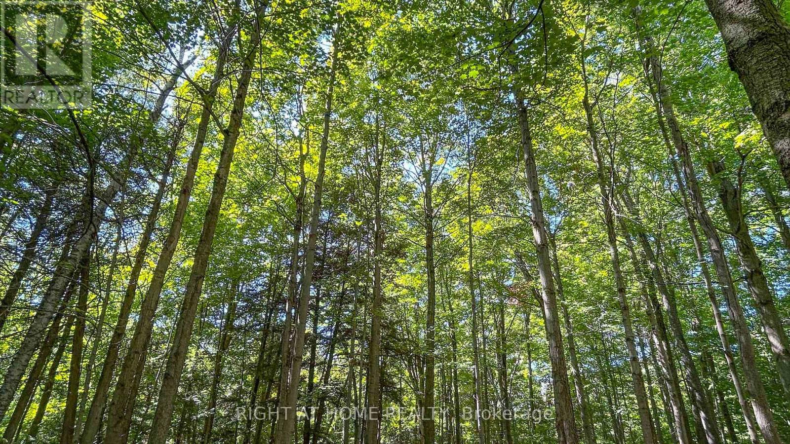 27 Timberlane Court, Clarington, Ontario  L1E 2H1 - Photo 40 - E12389999