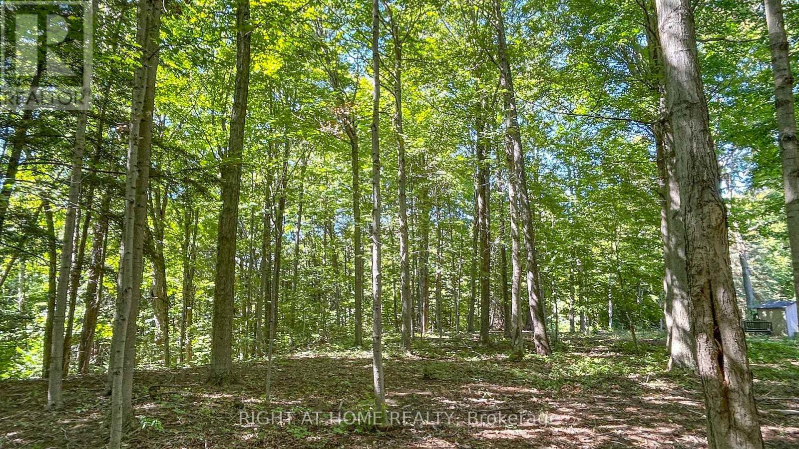 27 Timberlane Court, Clarington, Ontario  L1E 2H1 - Photo 37 - E12389999