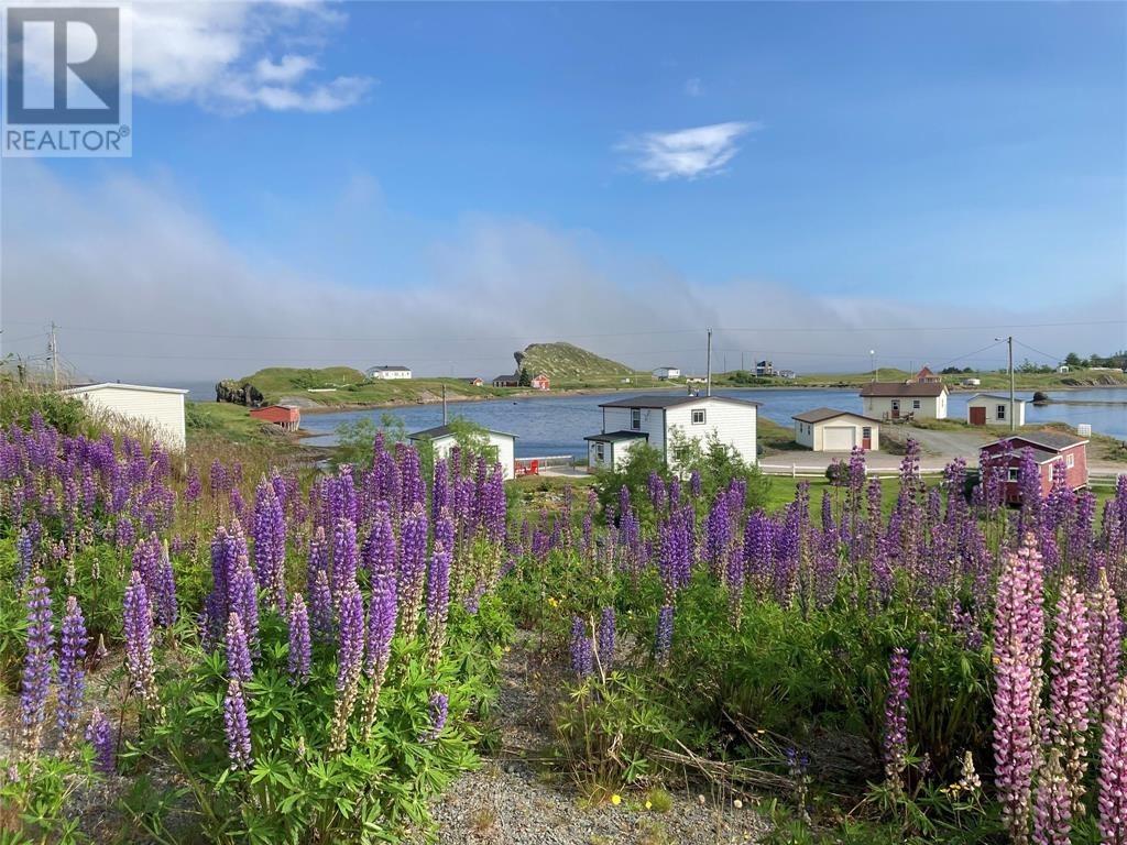 0 Main Road, Champney's West, Newfoundland & Labrador  A0C 2H0 - Photo 24 - 1287088