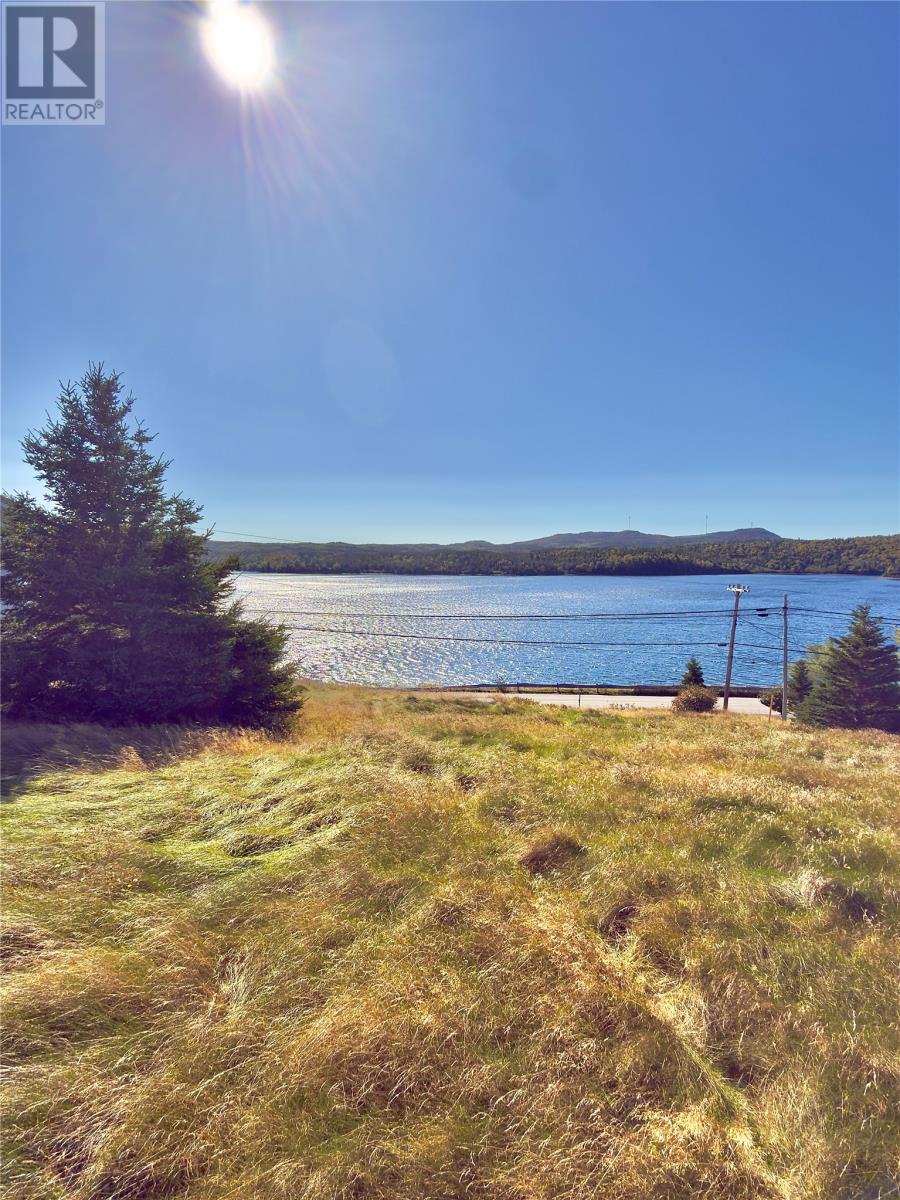 0 Main Road, Sunnyside, Newfoundland & Labrador  A0B 3J0 - Photo 5 - 1291204