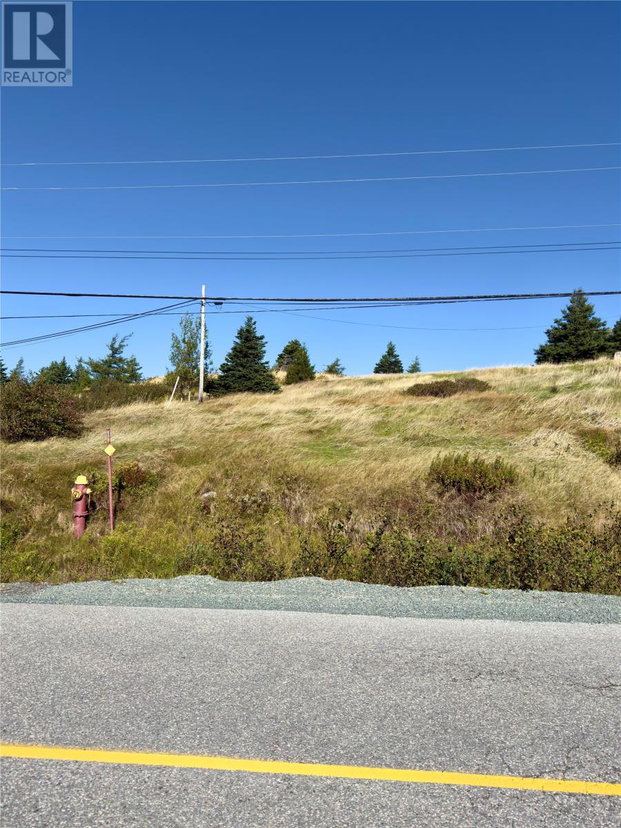 0 Main Road, Sunnyside, Newfoundland & Labrador  A0B 3J0 - Photo 7 - 1291204