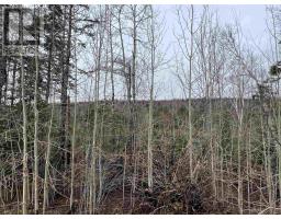 Leitches creek Road