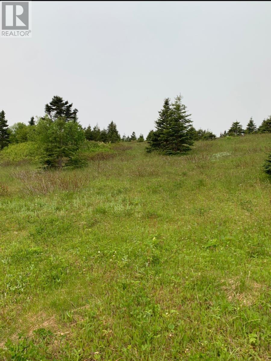 0 Loretto Road, Marches Point, Newfoundland & Labrador  A0N 1T1 - Photo 4 - 1291206