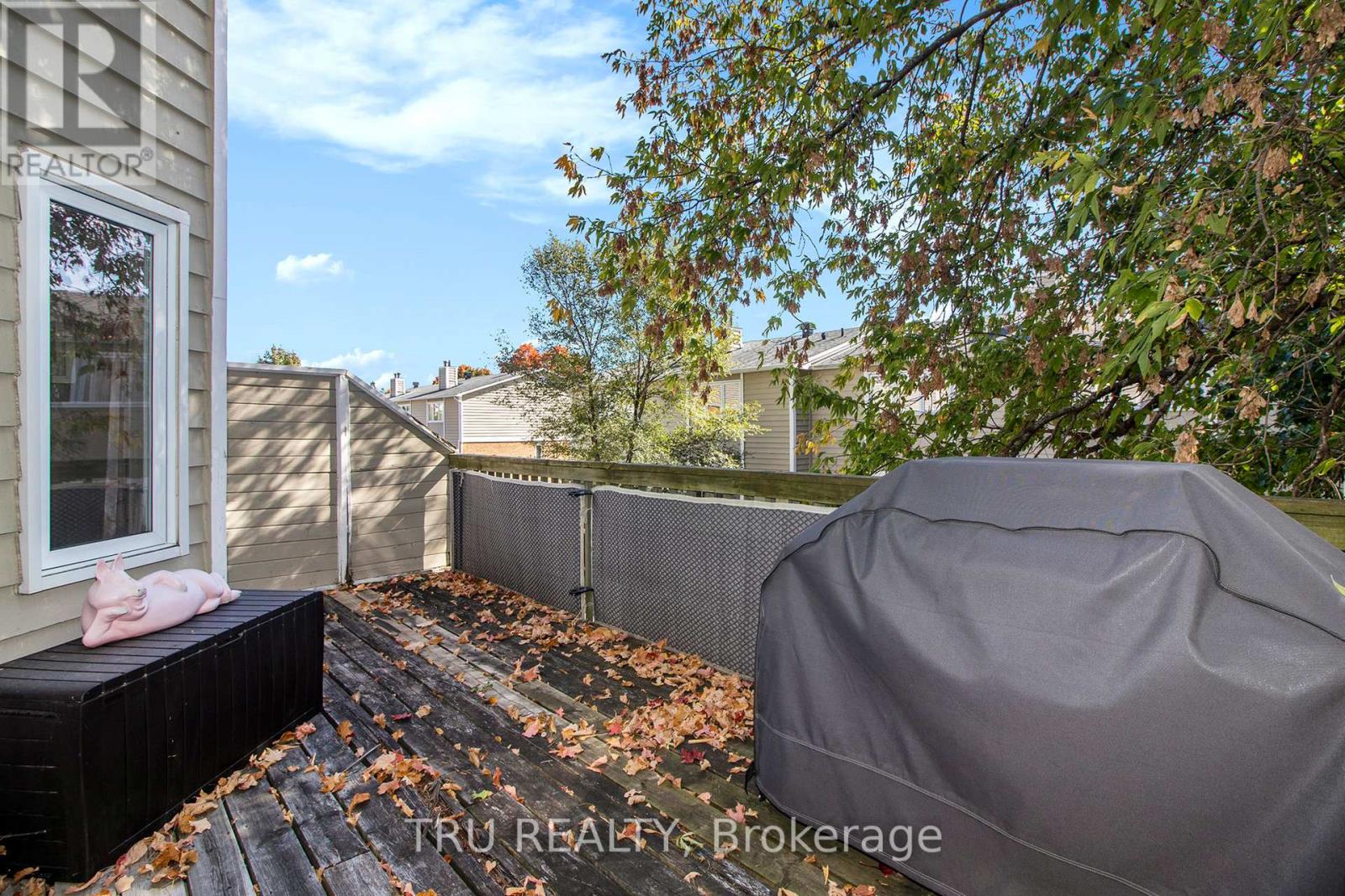 1132 Chimney Hill Way, Ottawa, Ontario  K1J 8Z6 - Photo 16 - X12446139