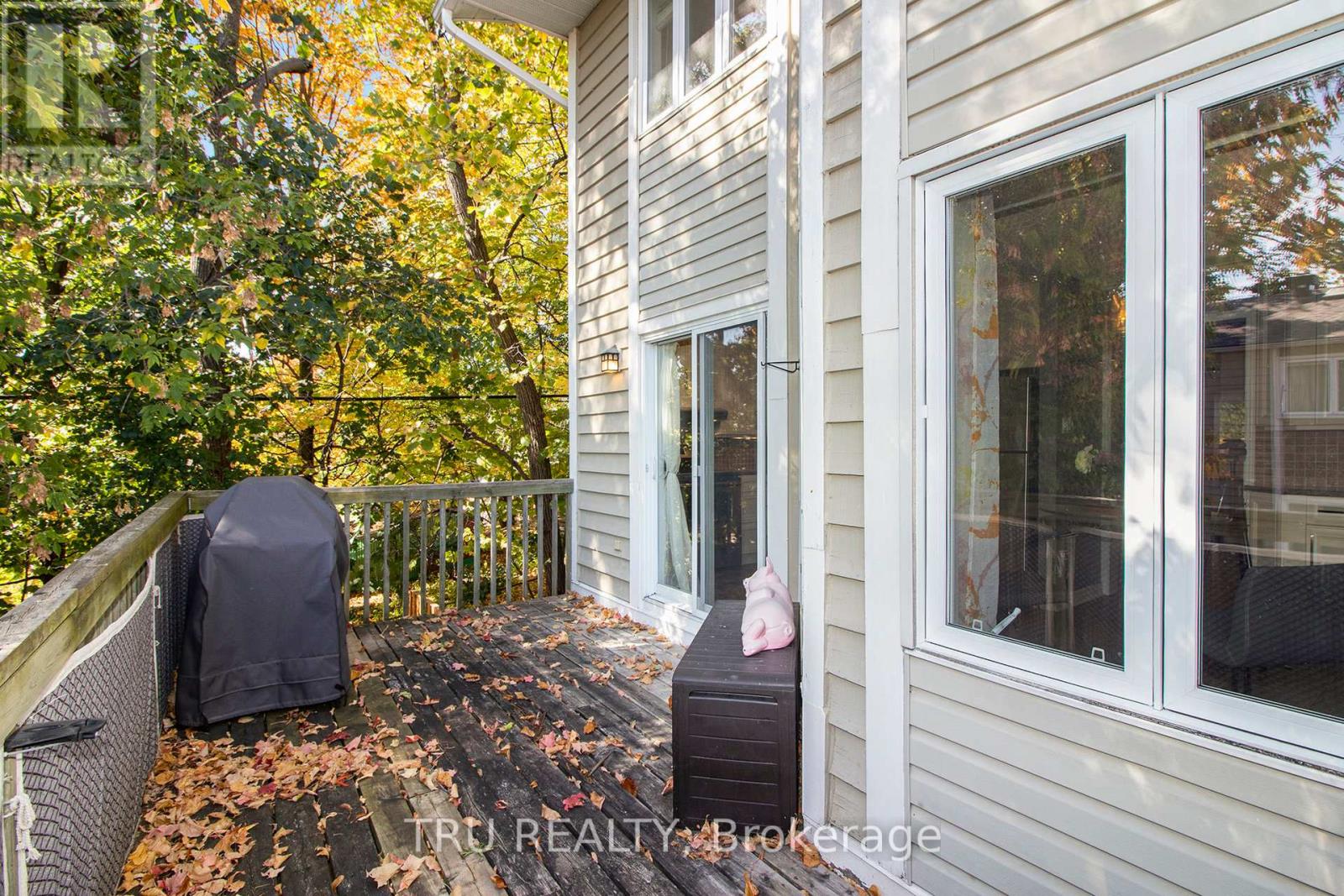 1132 Chimney Hill Way, Ottawa, Ontario  K1J 8Z6 - Photo 17 - X12446139
