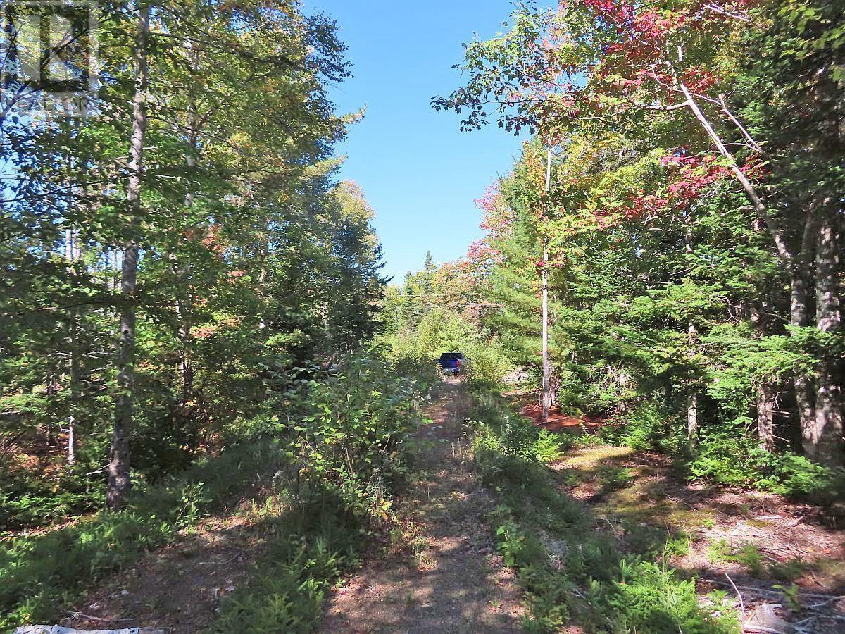 Lot 38 Redbird Drive, Malagawatch, Nova Scotia  B0E 2Y0 - Photo 35 - 202525152