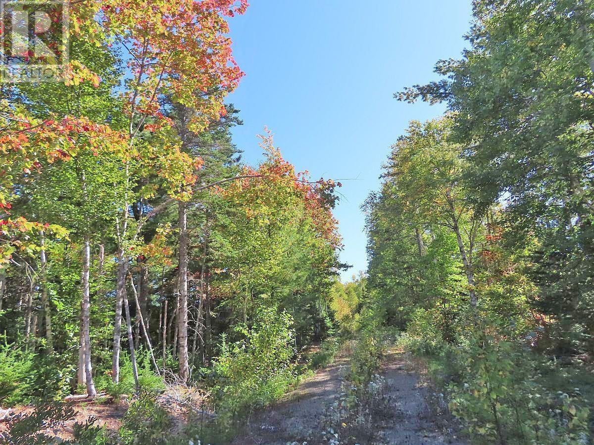 Lot 38 Redbird Drive, Malagawatch, Nova Scotia  B0E 2Y0 - Photo 37 - 202525152