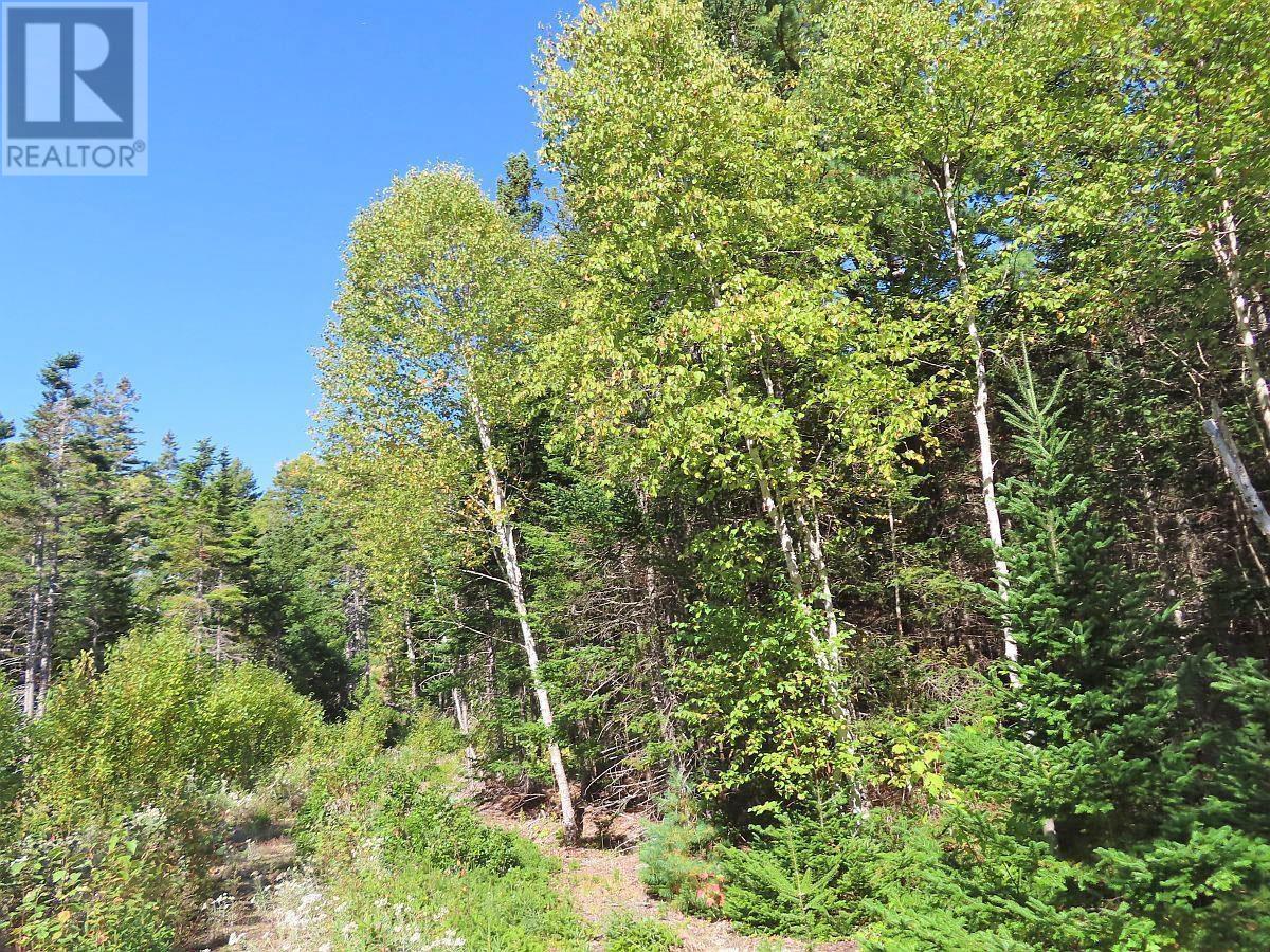 Lot 38 Redbird Drive, Malagawatch, Nova Scotia  B0E 2Y0 - Photo 31 - 202525152