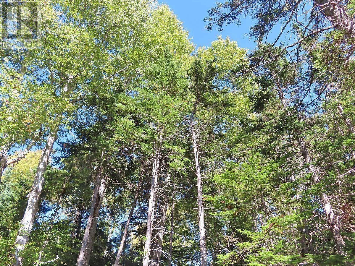 Lot 38 Redbird Drive, Malagawatch, Nova Scotia  B0E 2Y0 - Photo 32 - 202525152