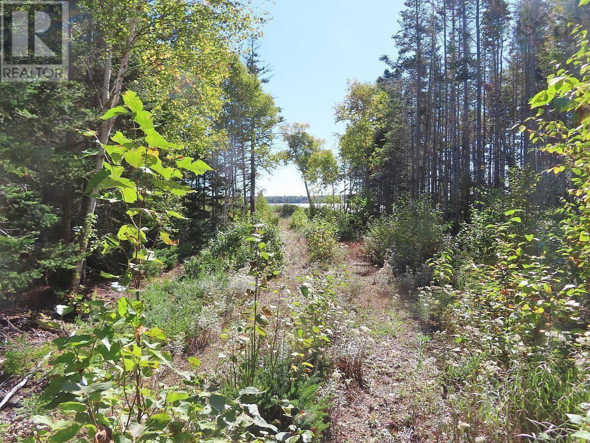 Lot 38 Redbird Drive, Malagawatch, Nova Scotia  B0E 2Y0 - Photo 28 - 202525152