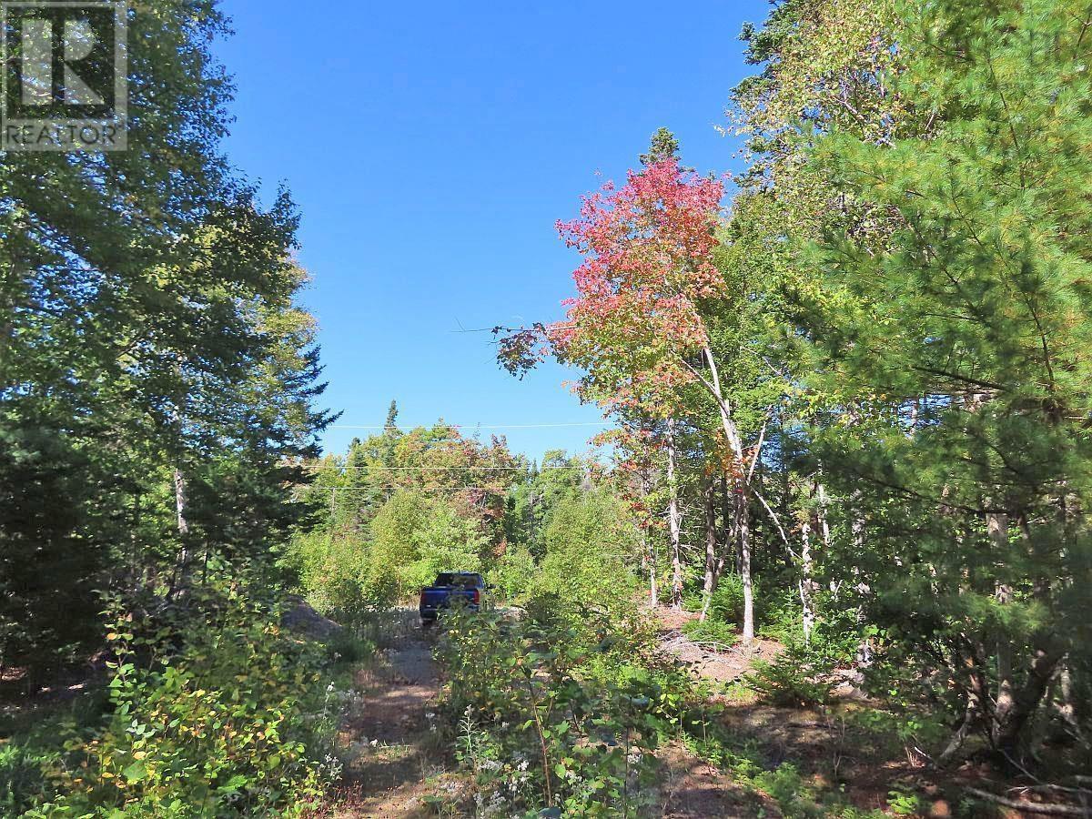 Lot 38 Redbird Drive, Malagawatch, Nova Scotia  B0E 2Y0 - Photo 36 - 202525152