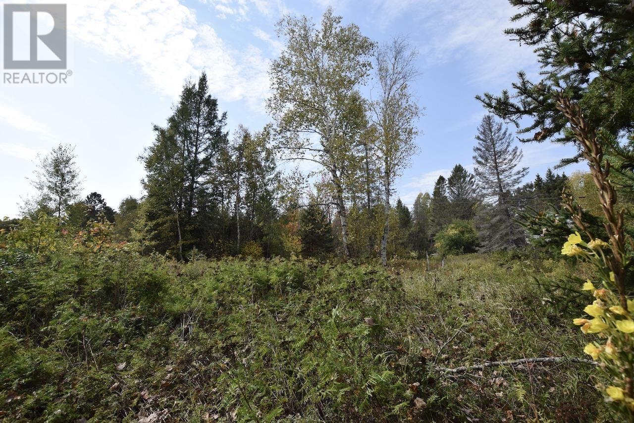 8 Allen St, Iron Bridge, Ontario  P0R 1H0 - Photo 5 - SM252238