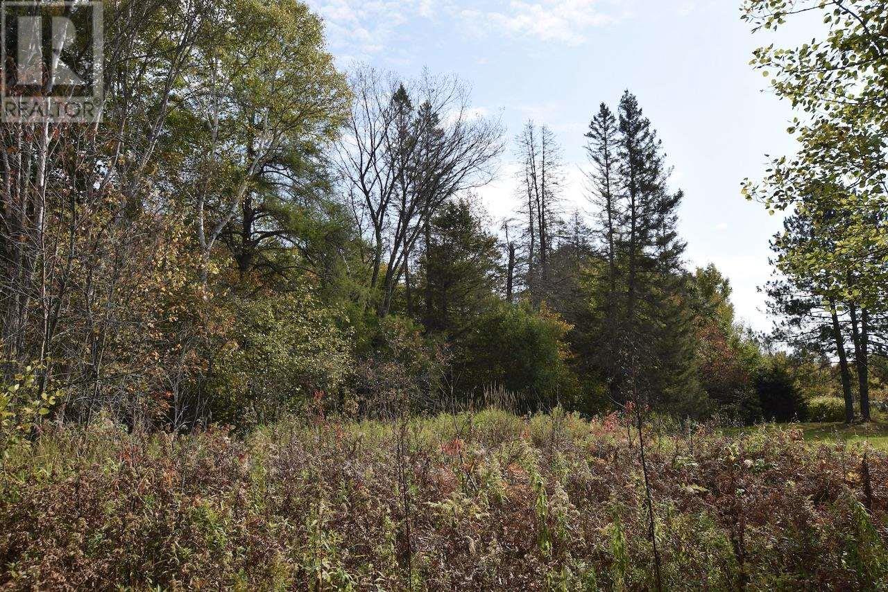 8 Allen St, Iron Bridge, Ontario  P0R 1H0 - Photo 4 - SM252238