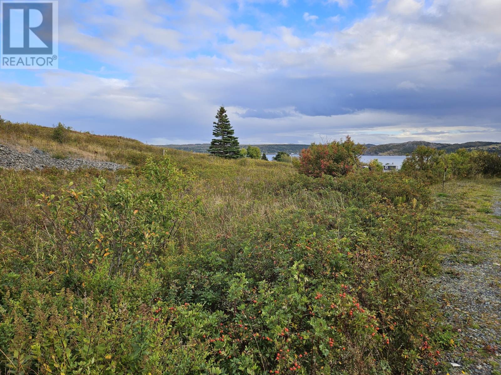 0 Bareneed Road, Bareneed, Newfoundland & Labrador  A0A 1W0 - Photo 1 - 1291018