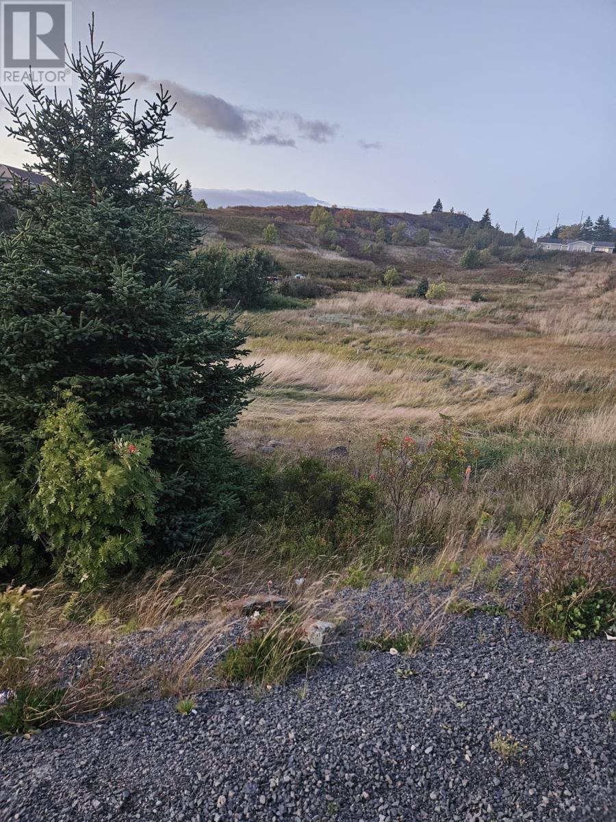 0 Bareneed Road, Bareneed, Newfoundland & Labrador  A0A 1W0 - Photo 11 - 1291018
