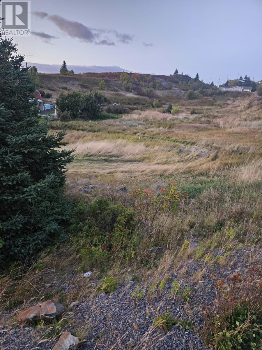 0 Bareneed Road, Bareneed, Newfoundland & Labrador  A0A 1W0 - Photo 12 - 1291018
