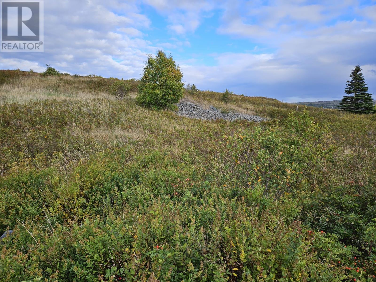 0 Bareneed Road, Bareneed, Newfoundland & Labrador  A0A 1W0 - Photo 2 - 1291018