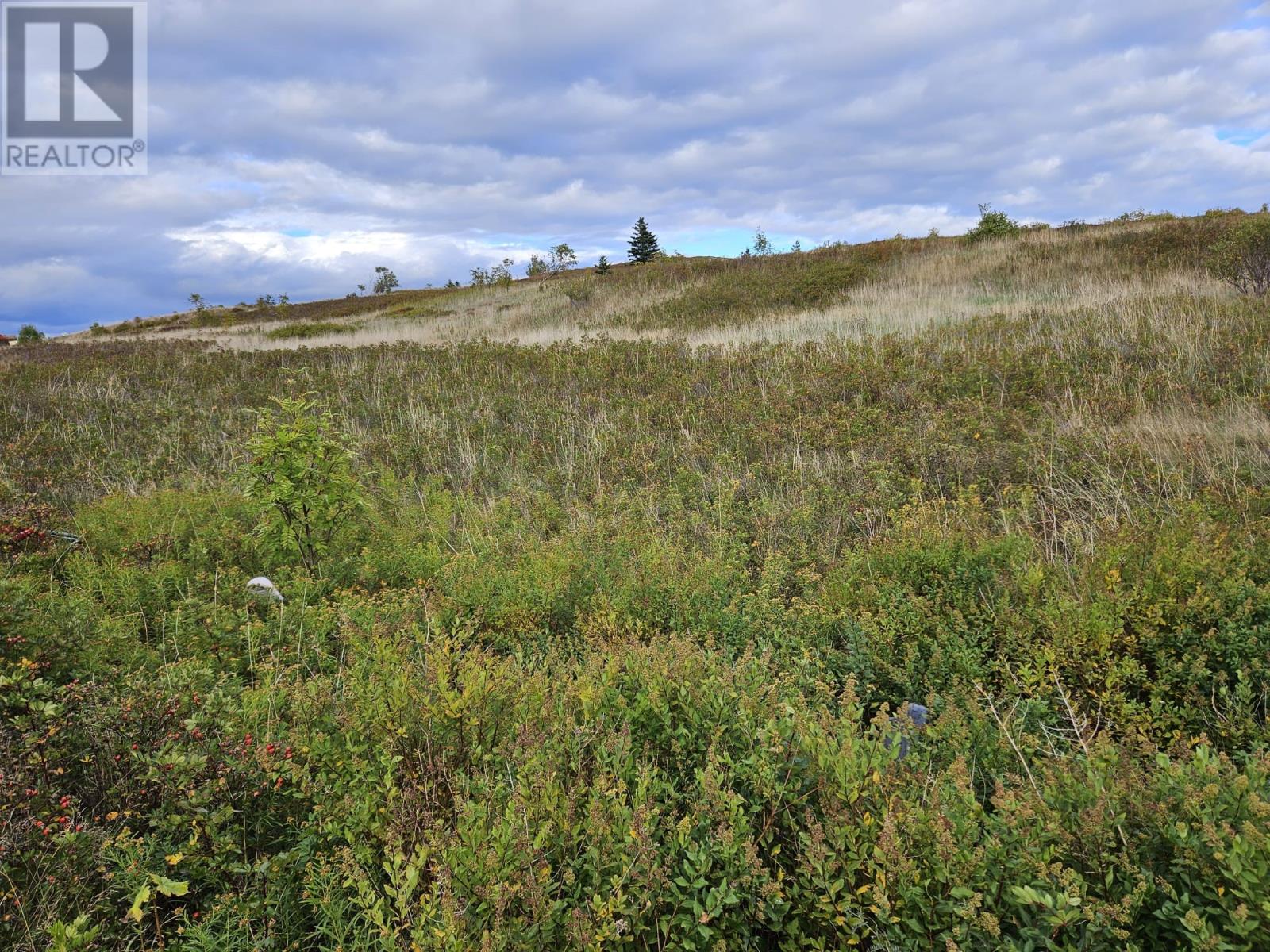 0 Bareneed Road, Bareneed, Newfoundland & Labrador  A0A 1W0 - Photo 3 - 1291018