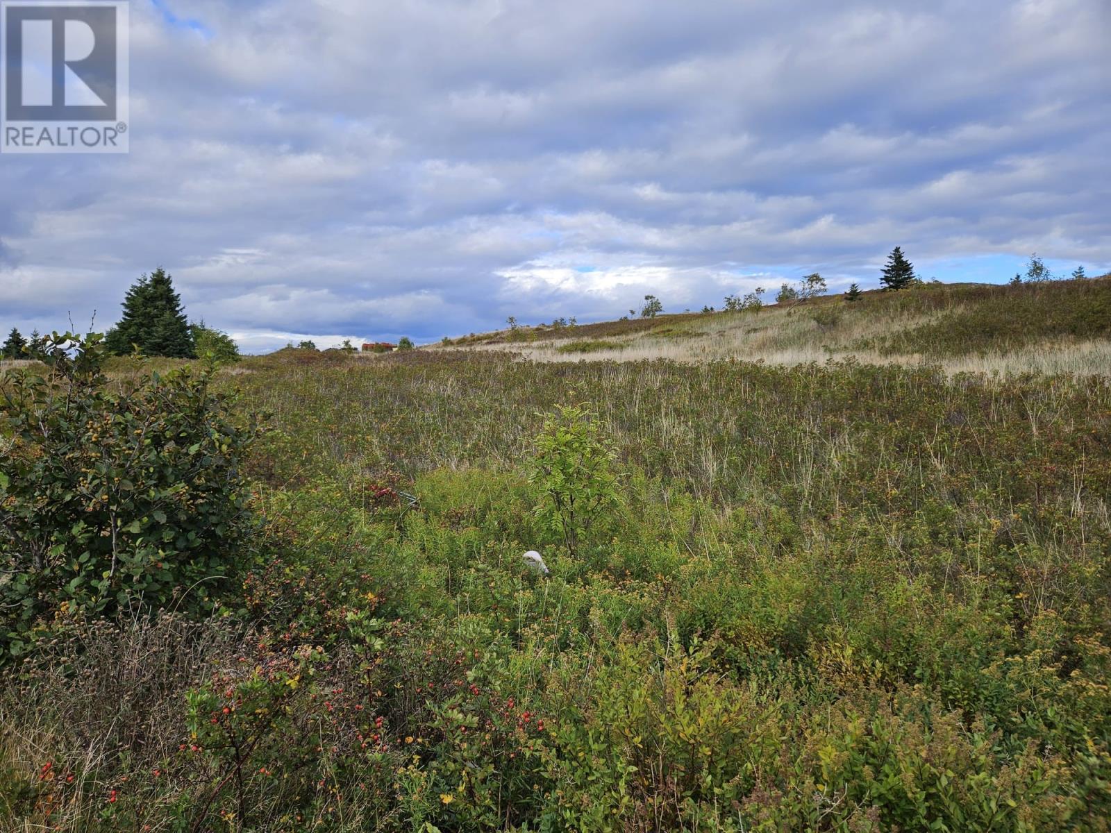 0 Bareneed Road, Bareneed, Newfoundland & Labrador  A0A 1W0 - Photo 4 - 1291018