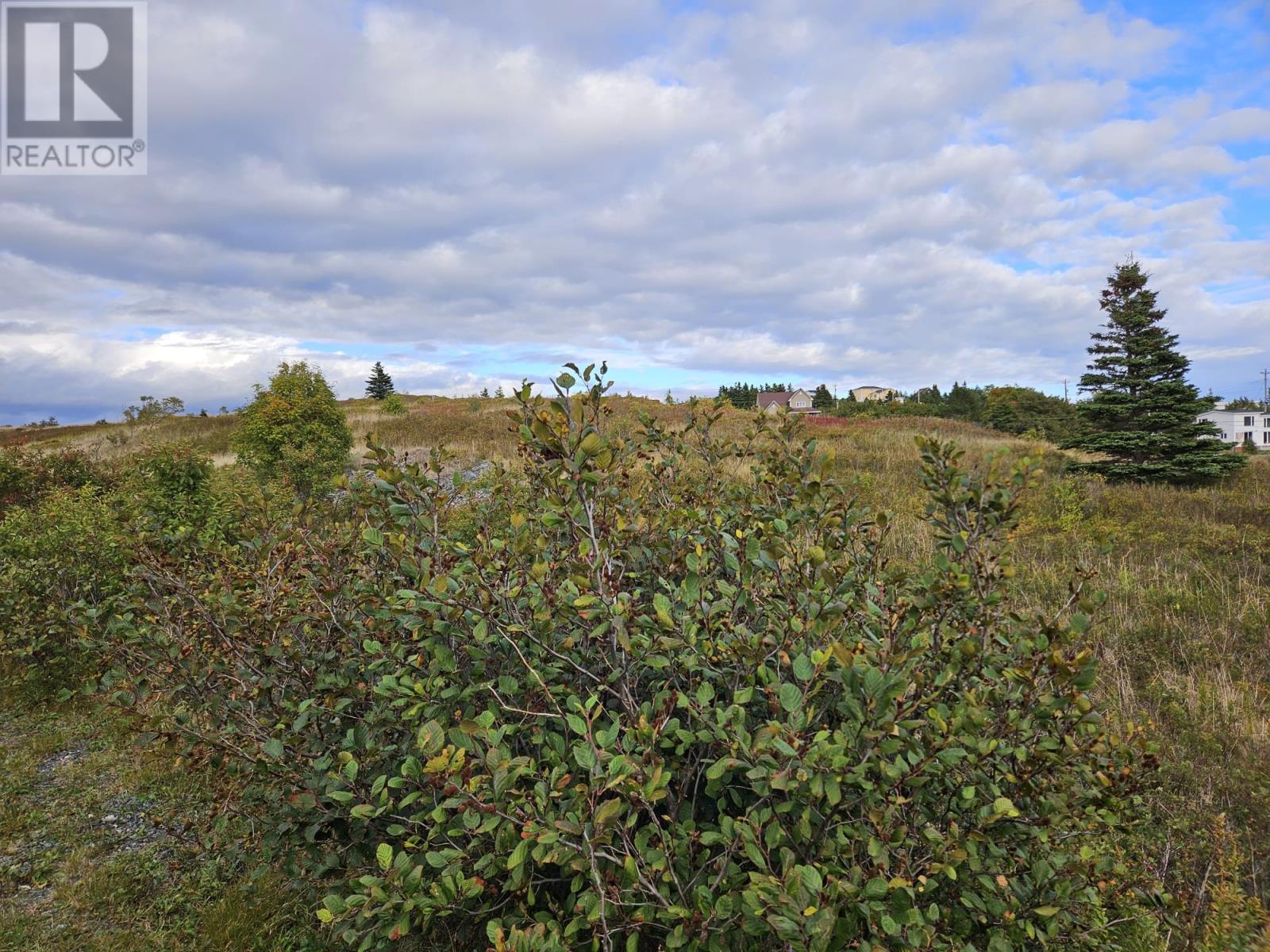 0 Bareneed Road, Bareneed, Newfoundland & Labrador  A0A 1W0 - Photo 5 - 1291018