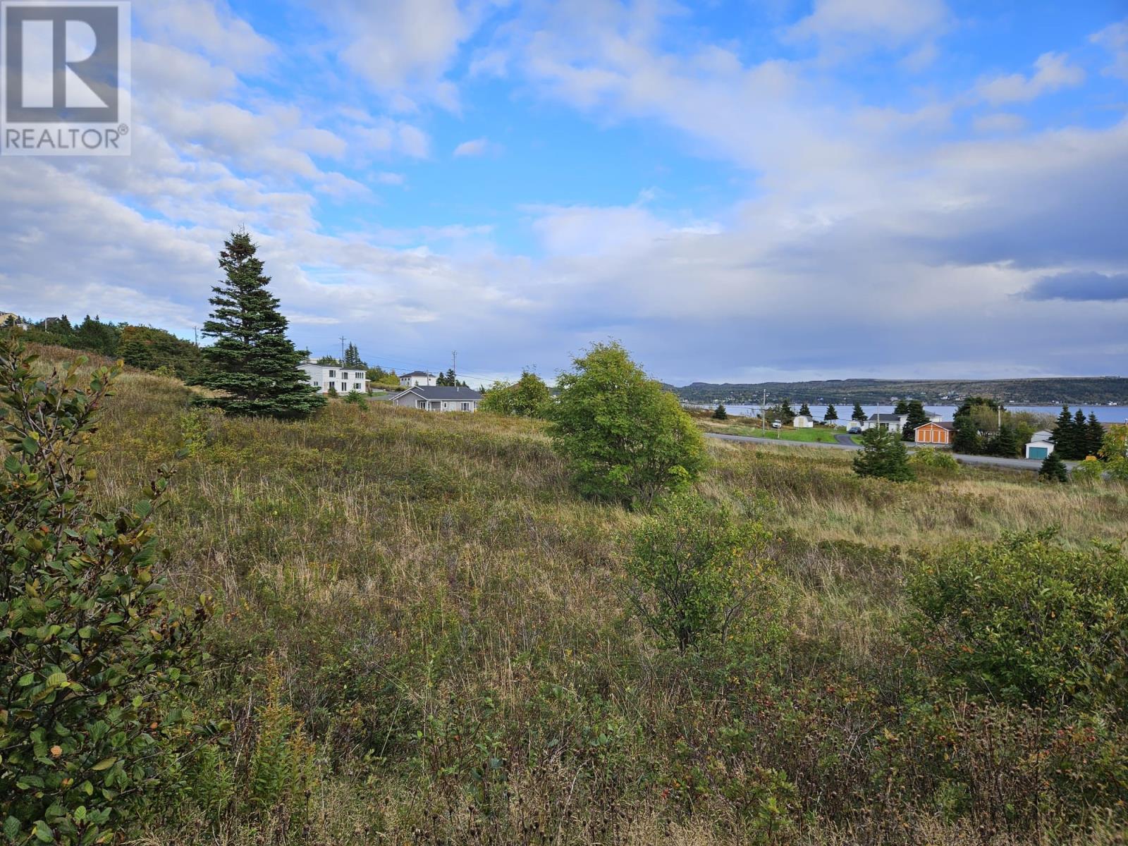 0 Bareneed Road, Bareneed, Newfoundland & Labrador  A0A 1W0 - Photo 6 - 1291018