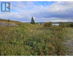 0 Bareneed Road, Bareneed, Newfoundland & Labrador