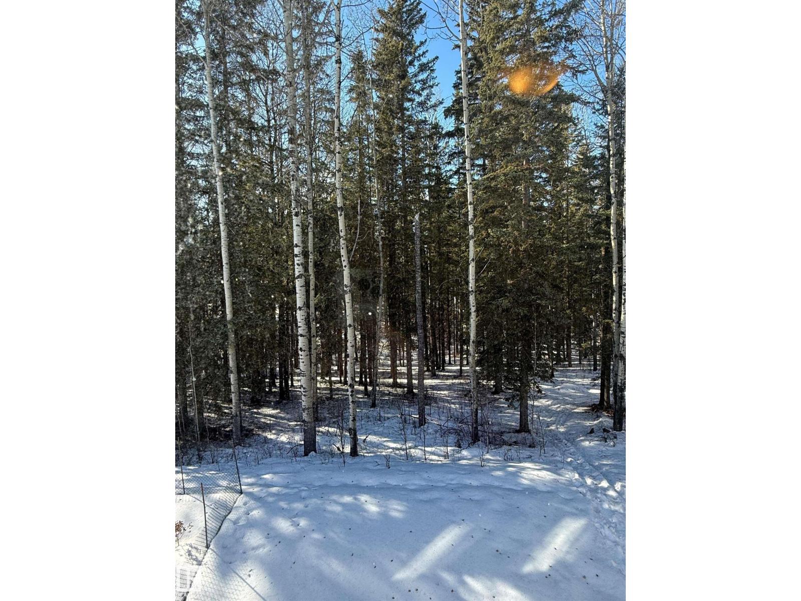 10, 624 41 St, Edson, Alberta  T7E 1A2 - Photo 9 - E4447563