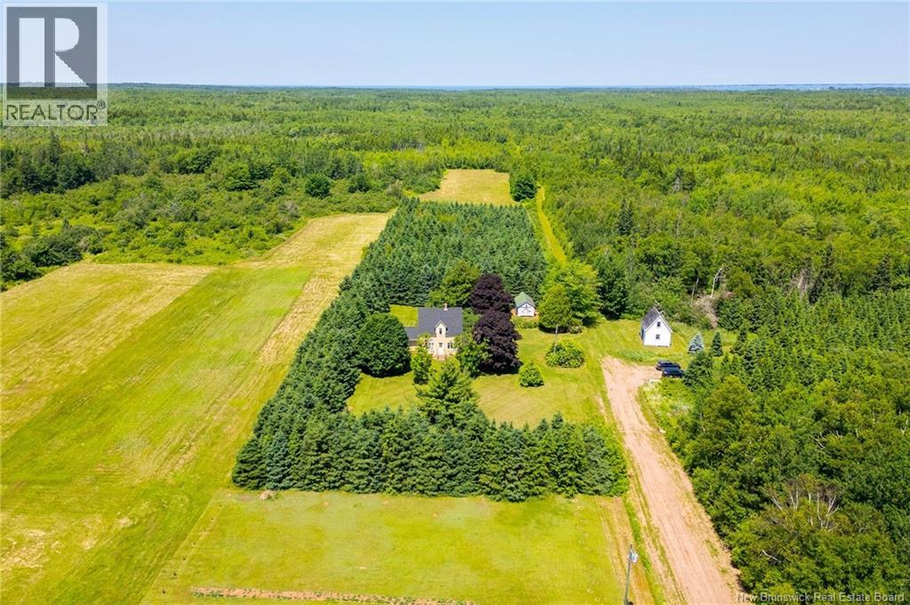 22 Cape Spear Cross Road, Cape Spear, New Brunswick  E4M 3C5 - Photo 3 - NB127945