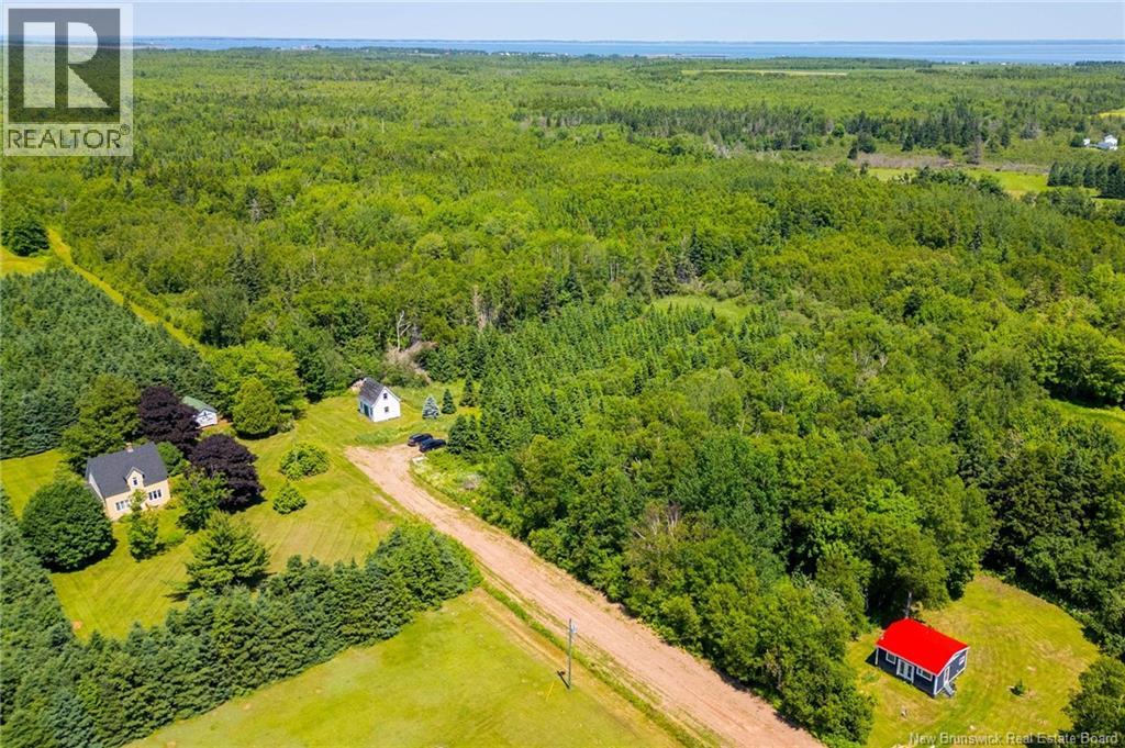 22 Cape Spear Cross Road, Cape Spear, New Brunswick  E4M 3C5 - Photo 5 - NB127945