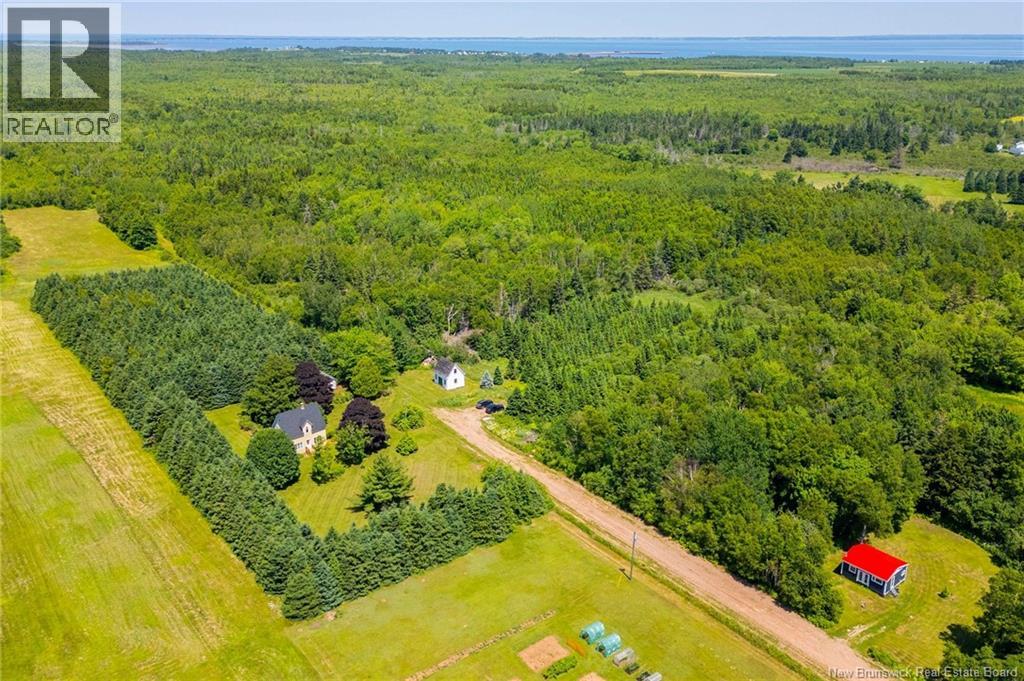 22 Cape Spear Cross Road, Cape Spear, New Brunswick  E4M 3C5 - Photo 4 - NB127945