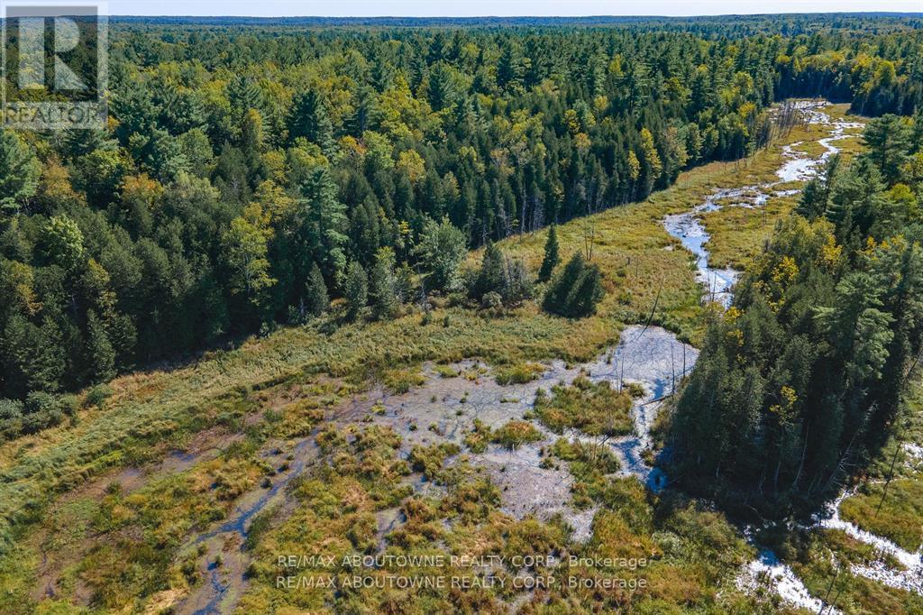 1161 & 1220 Turcotte Road, Stone Mills, Ontario  K0K 2A0 - Photo 17 - X12446154