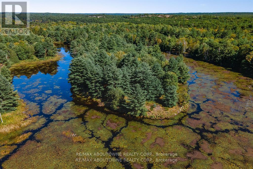 1161 & 1220 Turcotte Road, Stone Mills, Ontario  K0K 2A0 - Photo 18 - X12446154