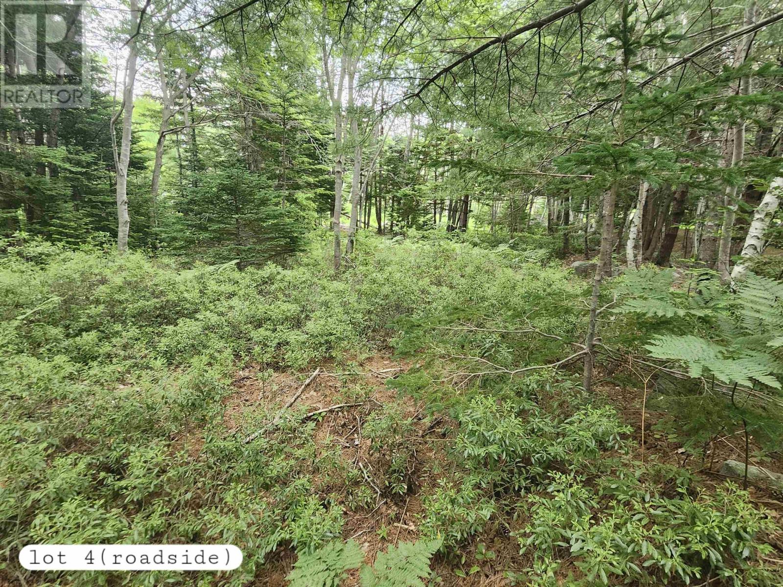 216 Hartz Point Road, Hartz Point, Nova Scotia  B0T 1W0 - Photo 23 - 202424316