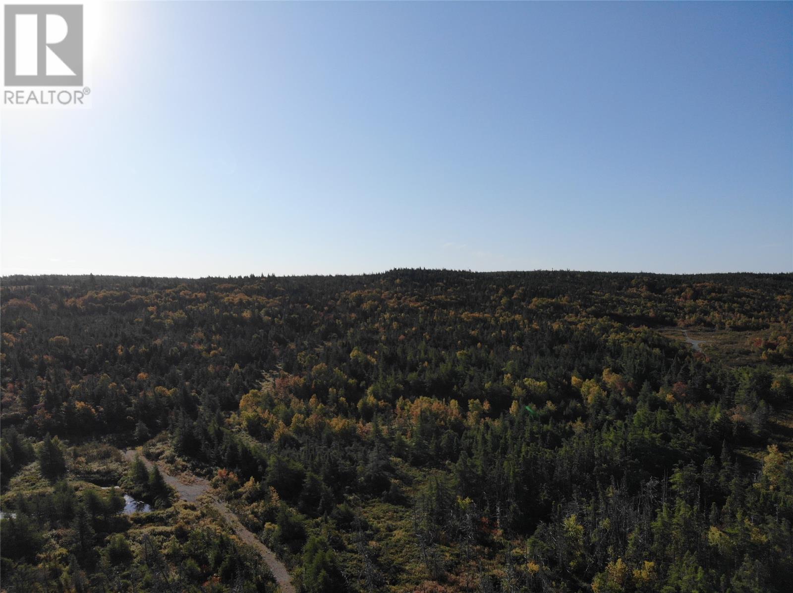 800a Country Road, Bay Roberts, Newfoundland & Labrador  A0A 1G0 - Photo 6 - 1291227