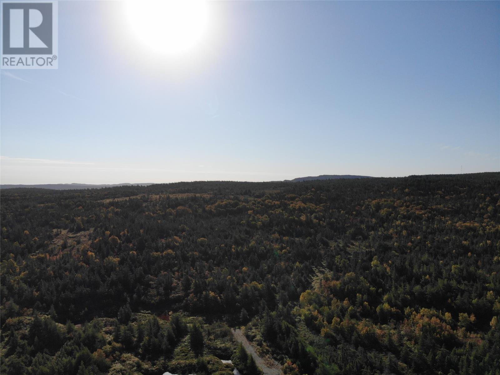 800a Country Road, Bay Roberts, Newfoundland & Labrador  A0A 1G0 - Photo 7 - 1291227